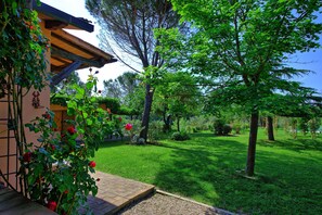 Garden - Casa Cipressi (Certaldo)