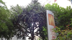 บริเวณภายนอก