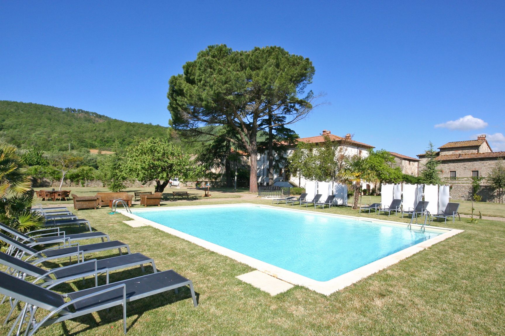 Ein rechteckiger Pool mit klarem, blauem Wasser, umgeben von einer Rasenfläche mit Liegestühlen und einem großen Baum.