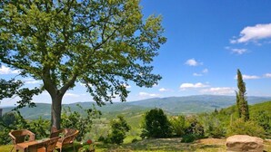 A tree with chairs and a potted plant in a grassy area with a view of distant hills. - Villa Poggiolino (Subbiano)