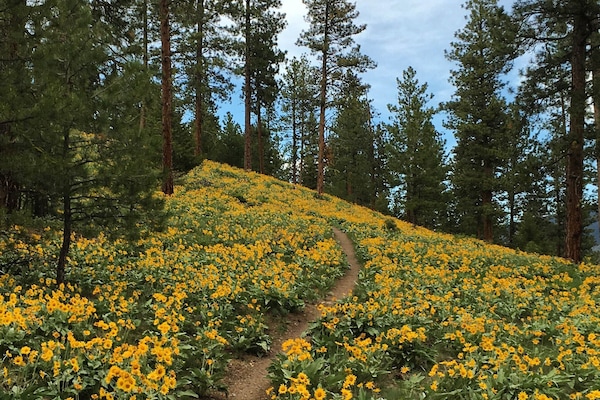 Hiking