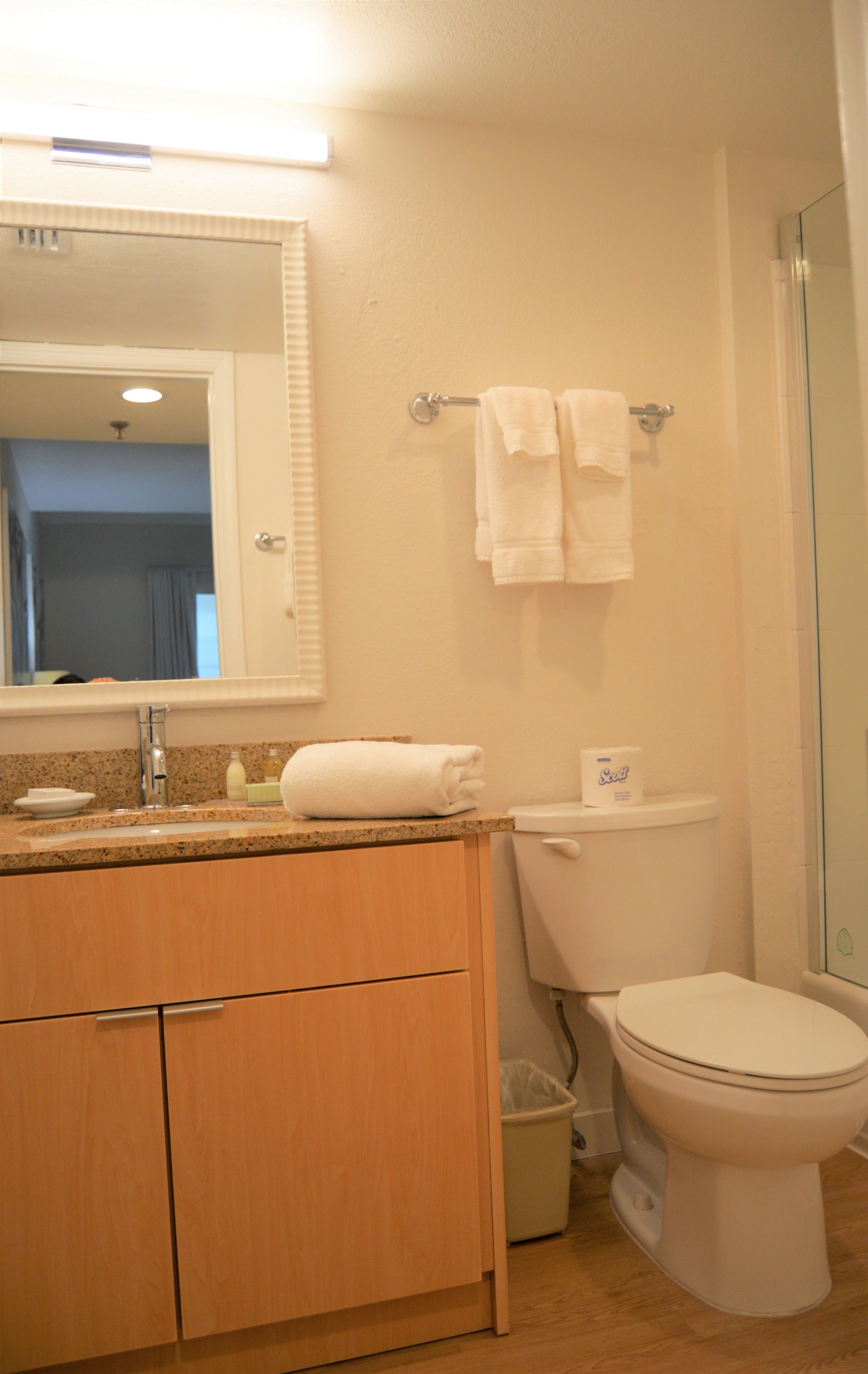 A bathroom with a sink, mirror, toilet, and a glass shower enclosure.