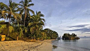 Una spiaggia con palme, un litorale sabbioso e una piccola isola con una costruzione.