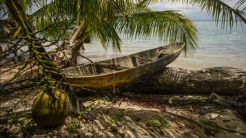 Relax by the serene beach, where a traditional boat meets the shore and a palm tree sways gently in the breeze.