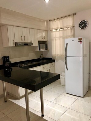 Großer Kühlschrank, Mikrowelle, Herdplatte