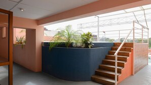 Un interior moderno con una pared azul curva, una escalera de madera y plantas en macetas.