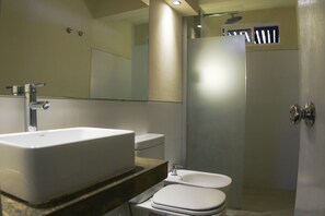 Shower, hydromassage showerhead, hair dryer, bidet