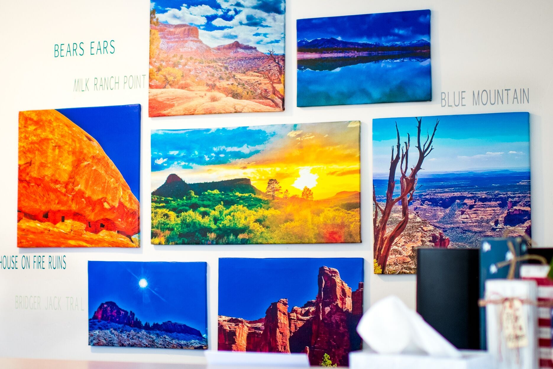 A collection of landscape paintings with labels such as "Bears Ears," "Milk Ranch Point," "Blue Mountain," "House on Fire Ruins," and "Bridger Jack Trail."