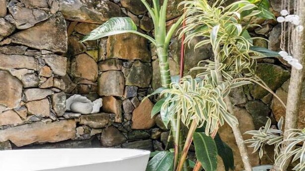 Un muro de piedra, una bañera grande de color blanco y diversas plantas tropicales.