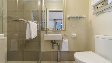 Un baño con ducha envuelta en vidrio, un lavabo blanco, un inodoro y un espejo.