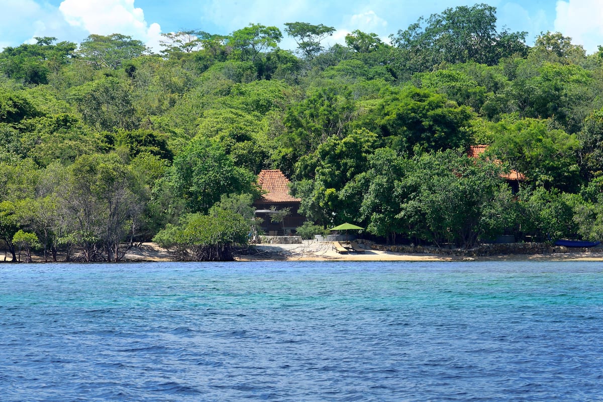 Une zone côtière avec une plage, une végétation luxuriante et un bâtiment doté d’un toit rouge.
