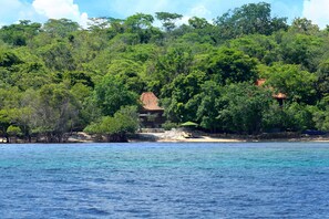 Vue sur la plage/l’océan