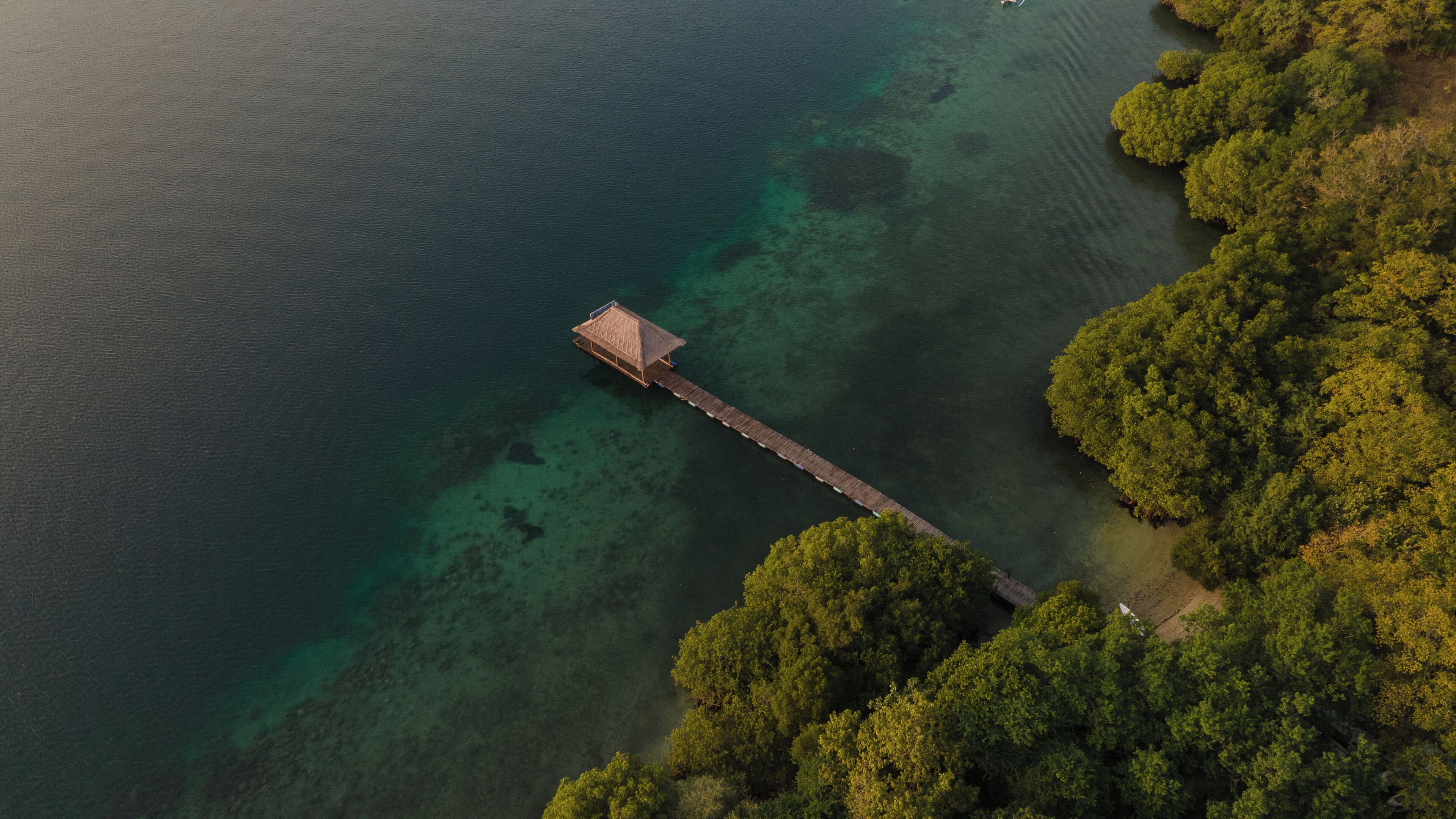 Une vue aérienne d’un quai s’étendant dans des eaux claires et peu profondes, entouré d’une forêt dense.