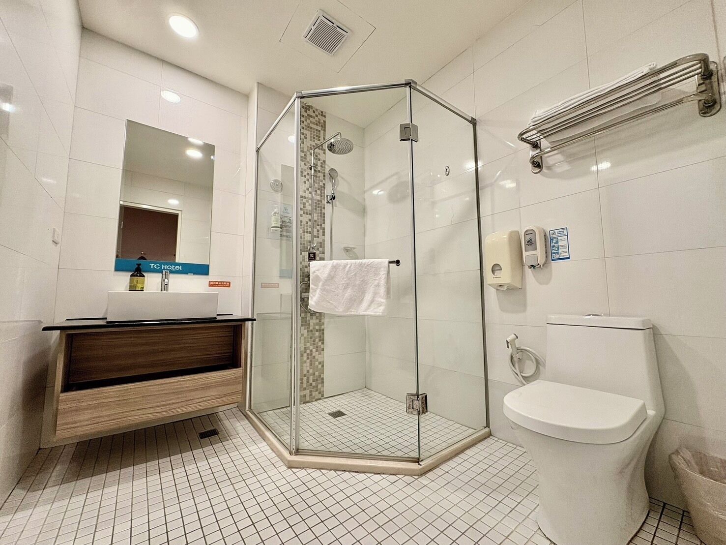 A modern bathroom with a glass-enclosed shower, a toilet, a sink with a mirror above it, and a towel rack.