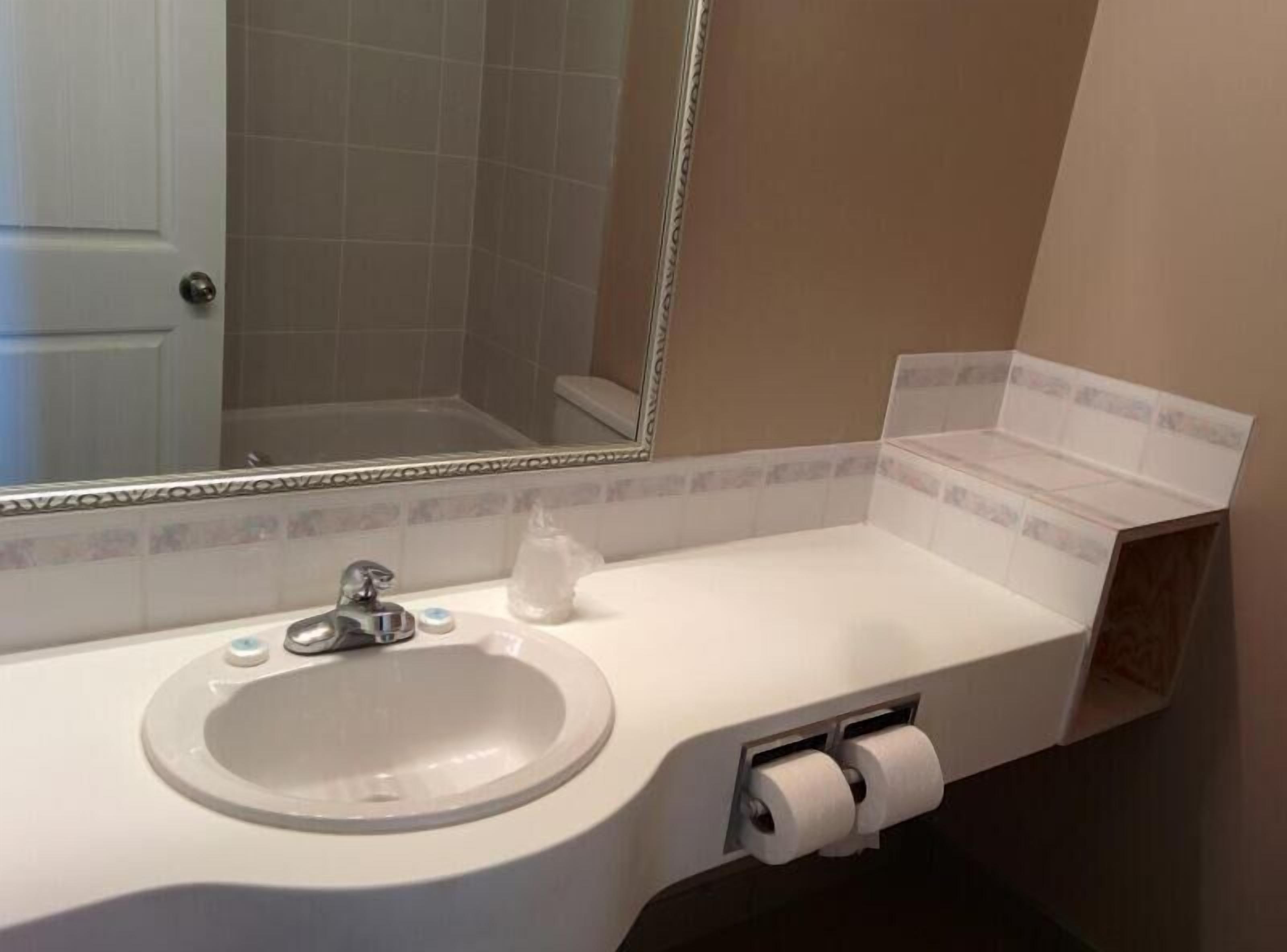 A bathroom with a sink, mirror, and toilet paper dispenser.