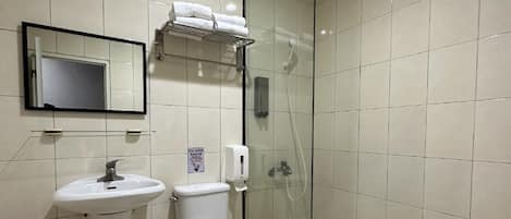 Un baño con inodoro, lavabo y ducha con mampara de vidrio.