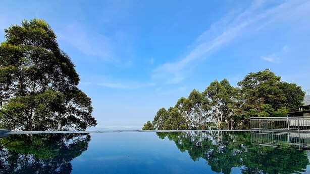 Una piscina cristalina refleja árboles y un cielo despejado.