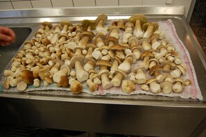 A stainless steel sink with a cloth-lined surface, filled with mushrooms.
