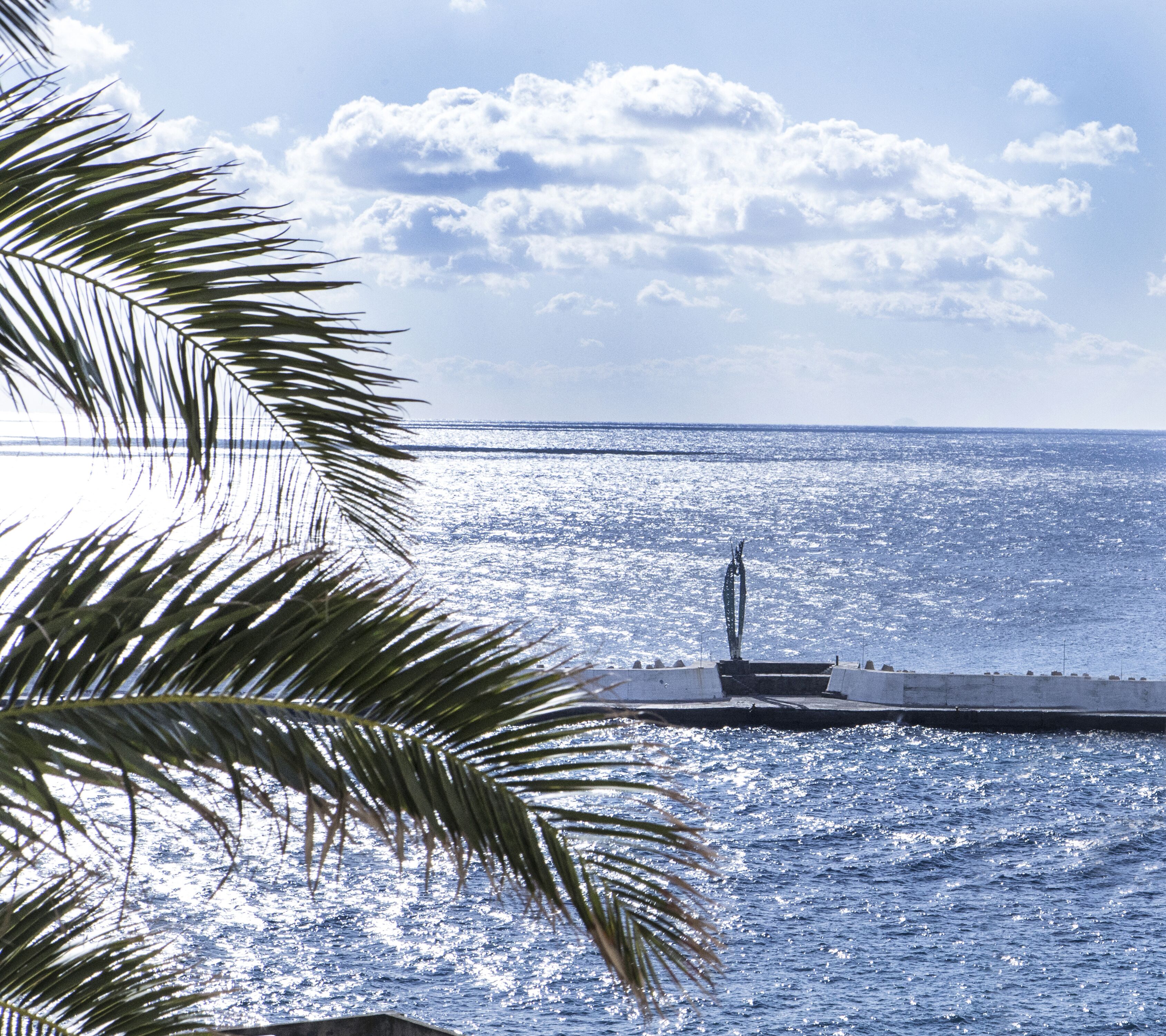 A coastal view with a pier extending into the sea, palm leaves in the foreground, and a clear sky.