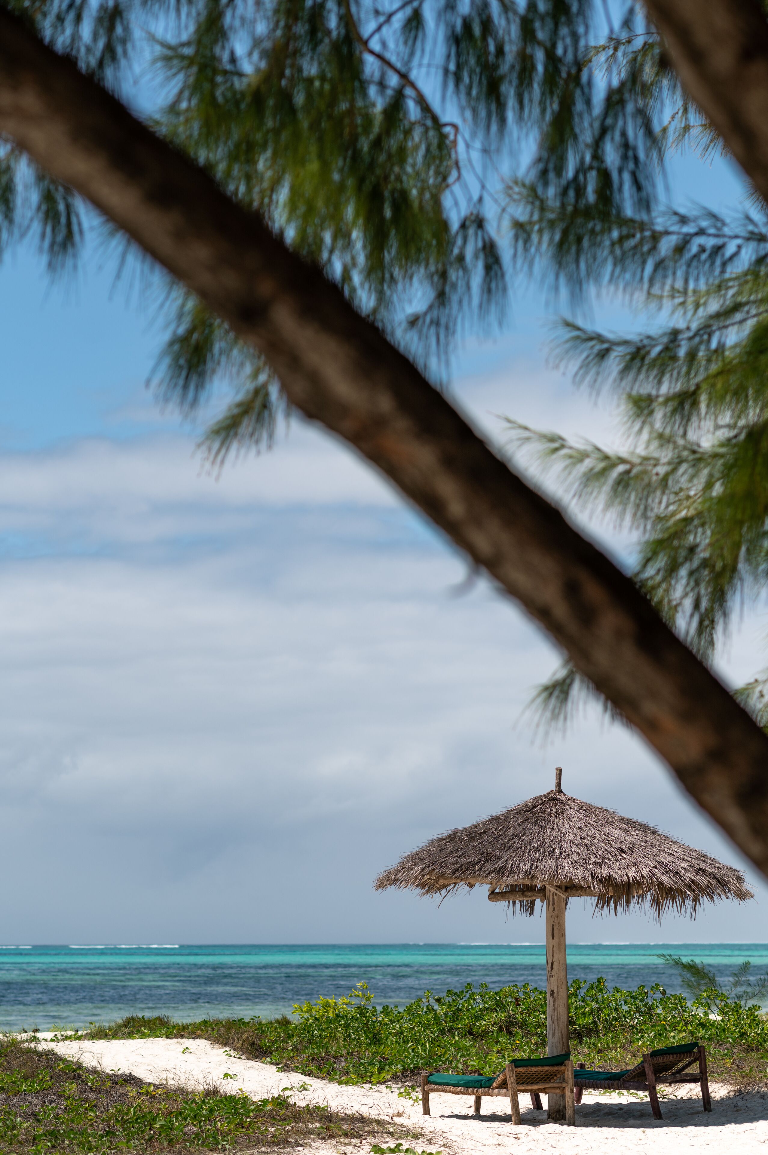 Beach/ocean view
