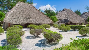 Thatched-roof huts with sand paths and green shrubs. - Hakuna Majiwe Beach Lodge (Paje)