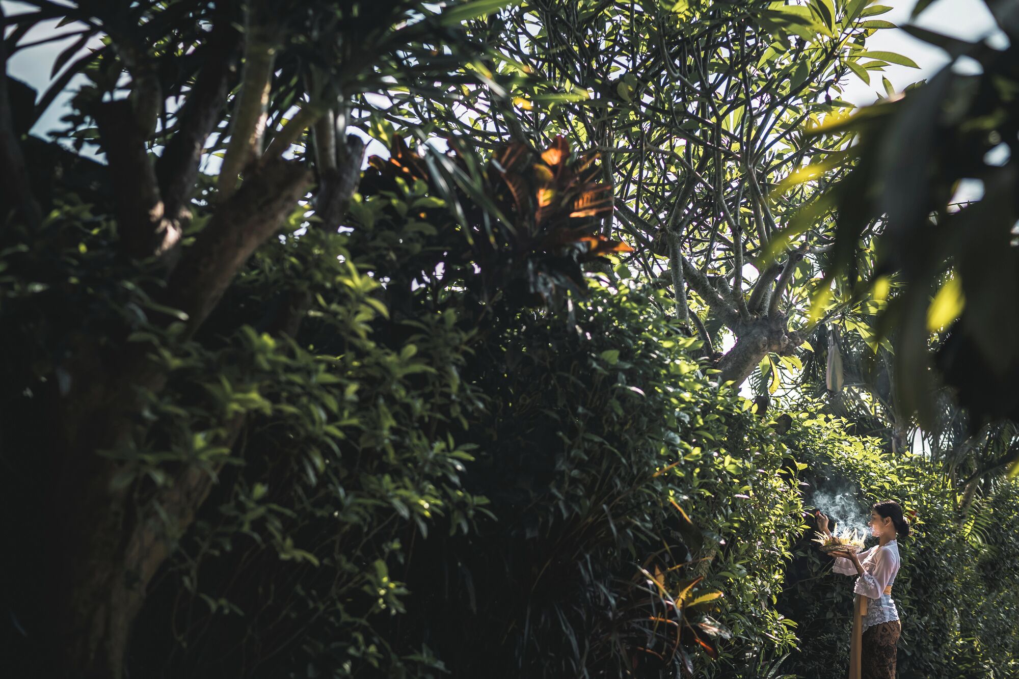 A person standing in a lush, green environment with dense foliage.
