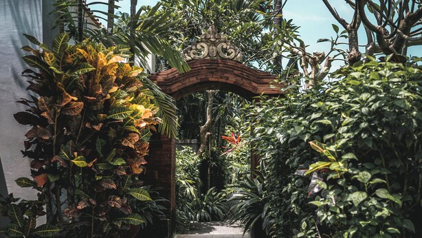 Un sentier étroit, pavé de pierres, qui traverse un jardin tropical luxuriant, bordé de chaque côté d’une végétation dense.