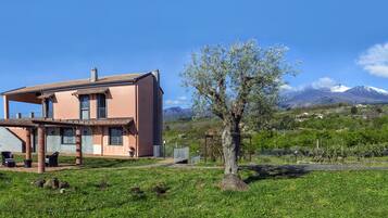 Facciata della struttura