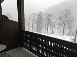 프리미엄 스위트, 침실 2개, 산 전망 | 발코니 전망