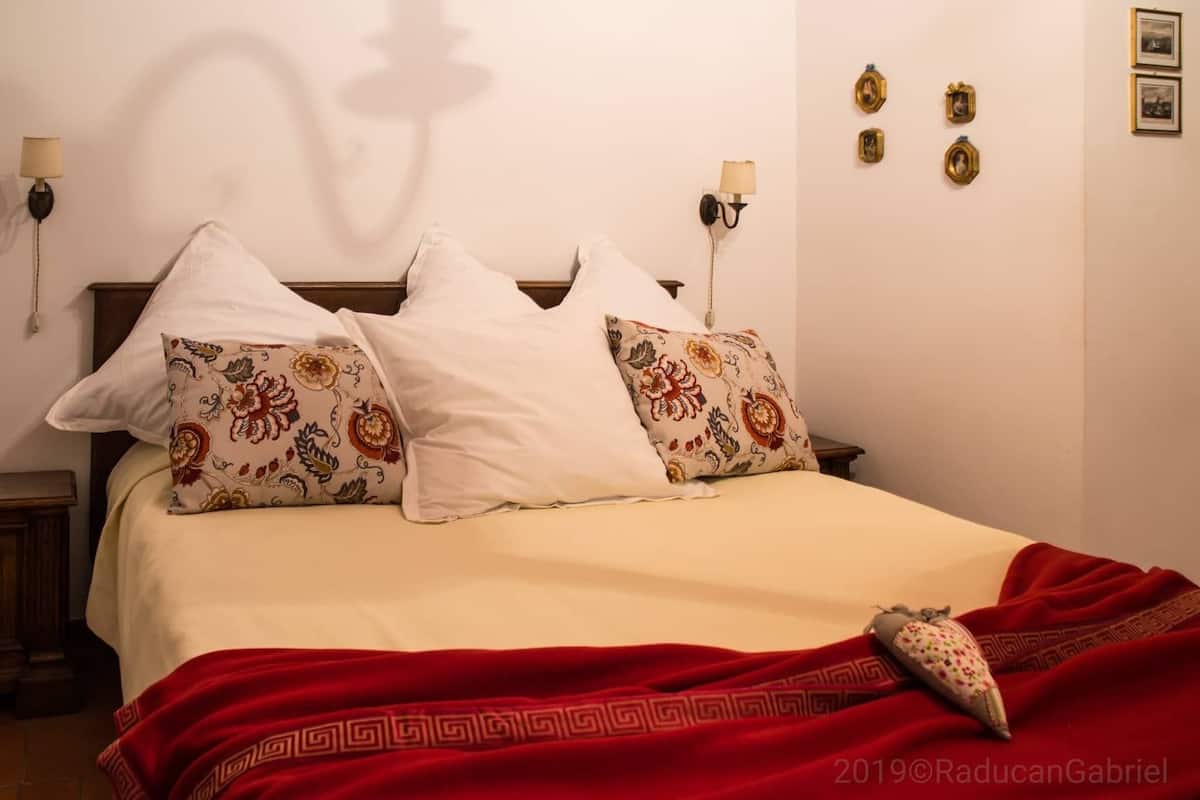Ein Schlafzimmer mit einem Bett, Kissen, einer roten Decke und Wandlampen.