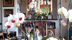 Una habitación con orquídeas, un espejo y varios objetos decorativos.