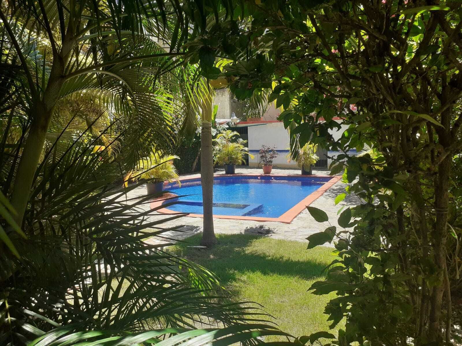 Une piscine entourée d’une végétation luxuriante et de plantes en pot.
