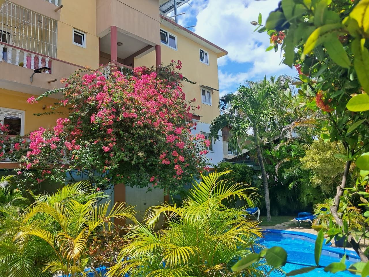 A hotel with a swimming pool surrounded by lush greenery and a pink flowering tree.