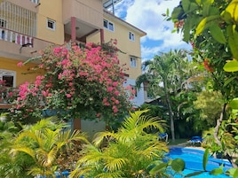 A hotel with a swimming pool surrounded by lush greenery and a pink flowering tree.