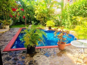 A swimming pool surrounded by lush greenery, with a stone floor and a small table nearby. - Aparthotel Michaela (Sosúa)