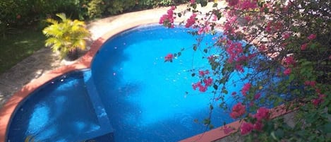 Outdoor pool, open 6:00 AM to 8:00 PM, pool loungers