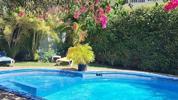 Outdoor pool, open 6:00 AM to 8:00 PM, pool loungers