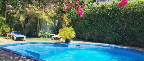 Una piscina con lettini e piante in vaso.