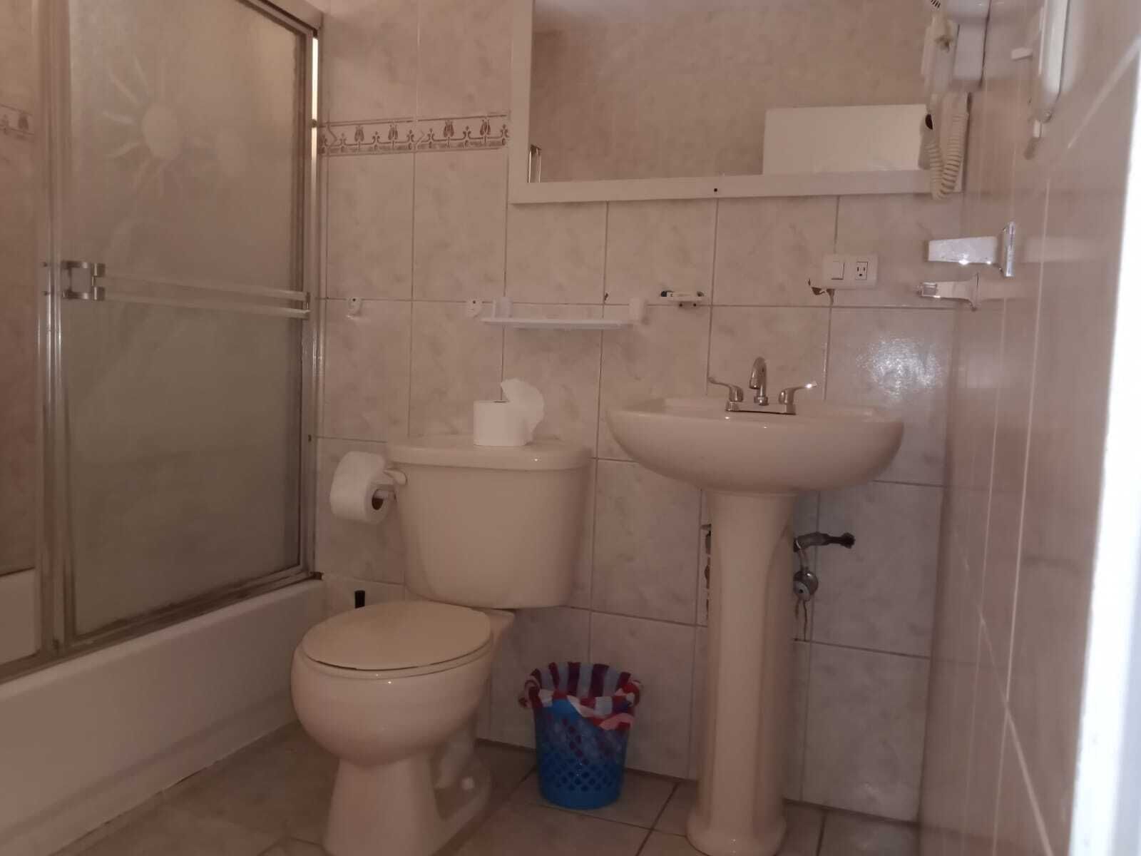 combined shower/bathtub, free toiletries, hair dryer, towels