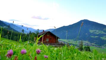 A wooden cabin with a sloped roof, surrounded by lush green fields and mountains in the background.