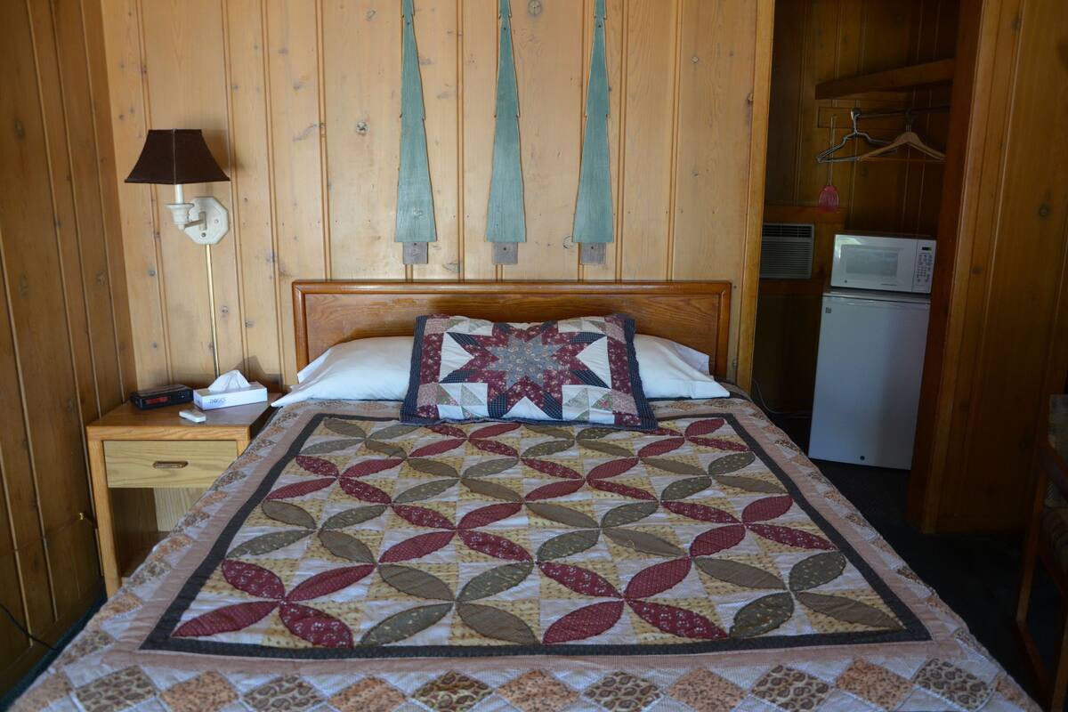 A wooden-paneled room with a bed, a nightstand, a lamp, and a microwave.