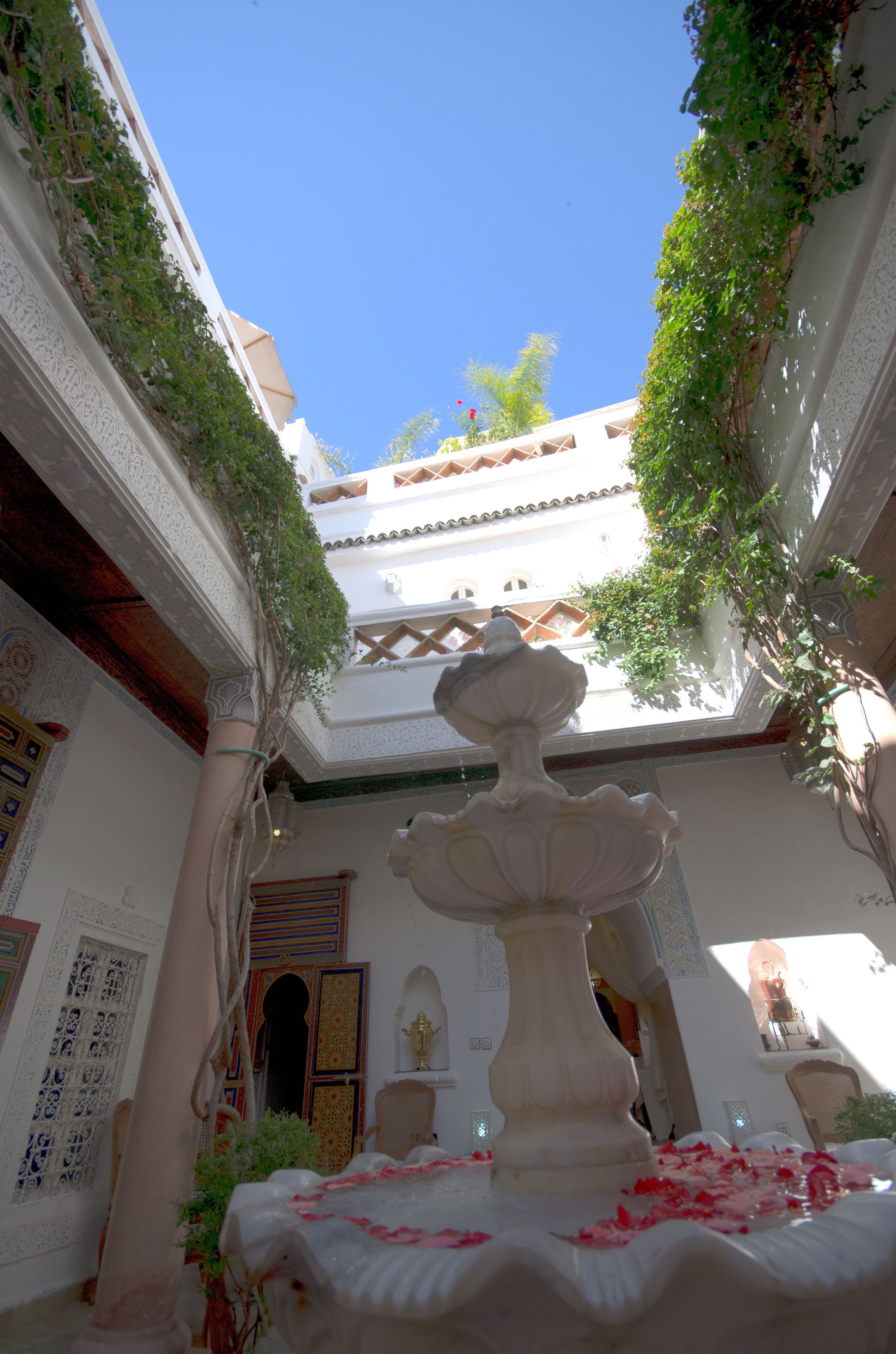 Une cour avec une fontaine, des murs blancs et de la verdure.