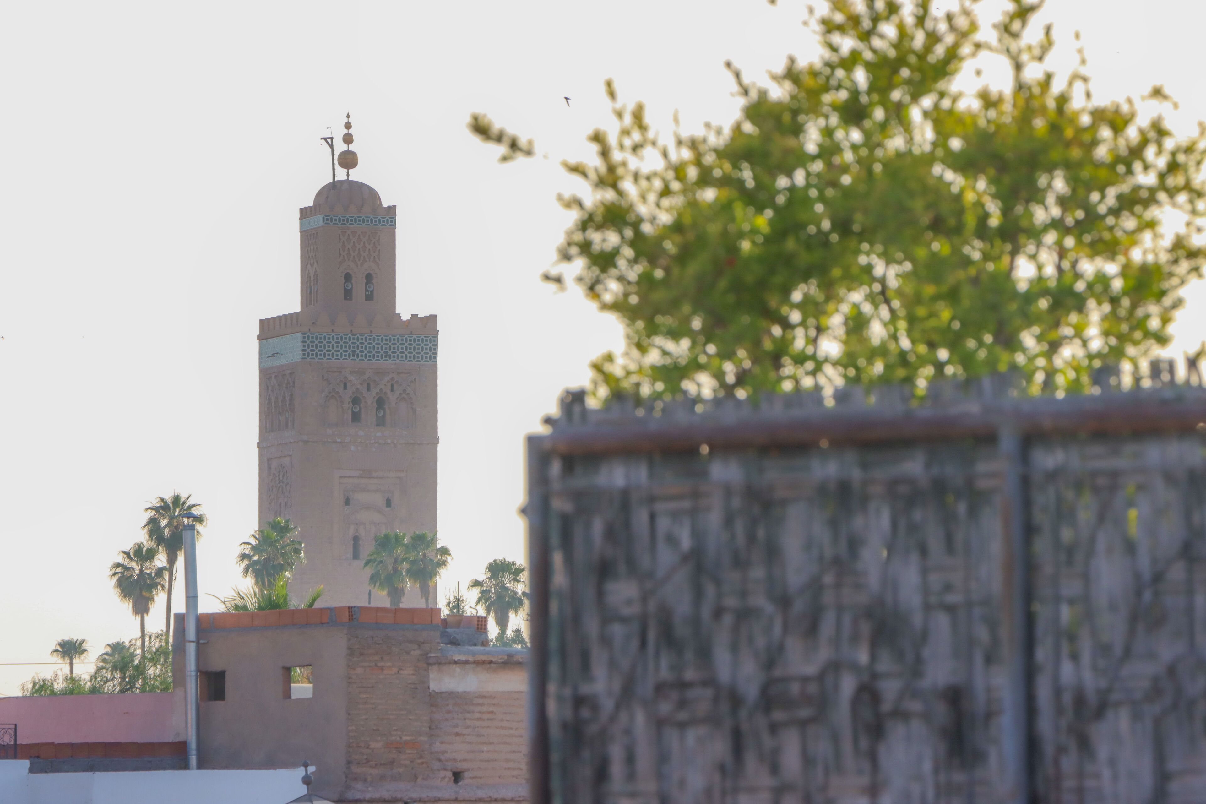 A view of a tall tower with intricate architectural details, surrounded by palm trees and a clear sky.