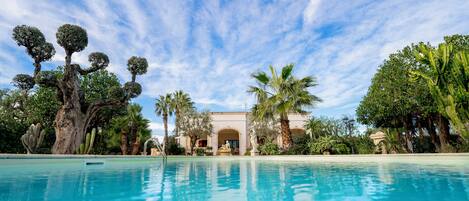 Junior-Studiosuite | Blick auf den Garten