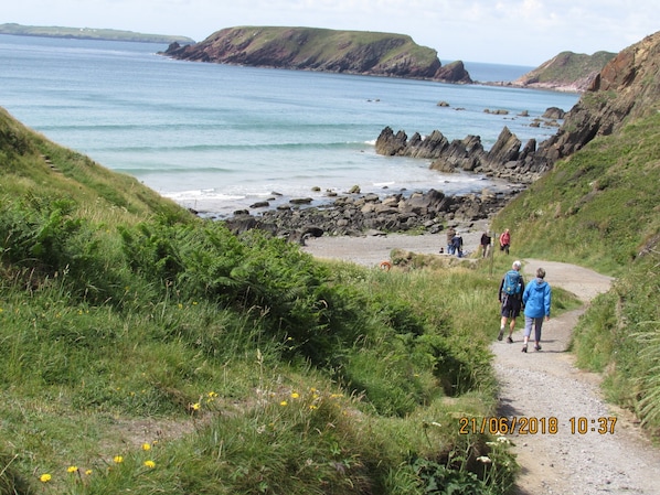 Miscellaneous - Wernddofn (Boncath)