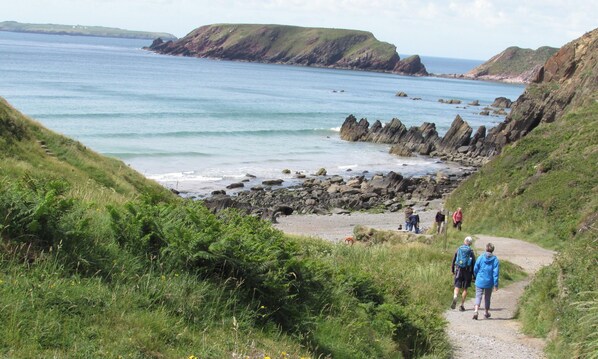 Miscellaneous - Wernddofn (Boncath)