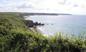 Miscellaneous - Wernddofn (Boncath)