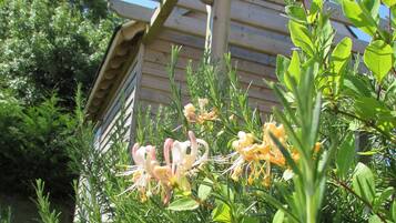 A garden with various plants and flowers, a wooden pergola, and a building in the background.