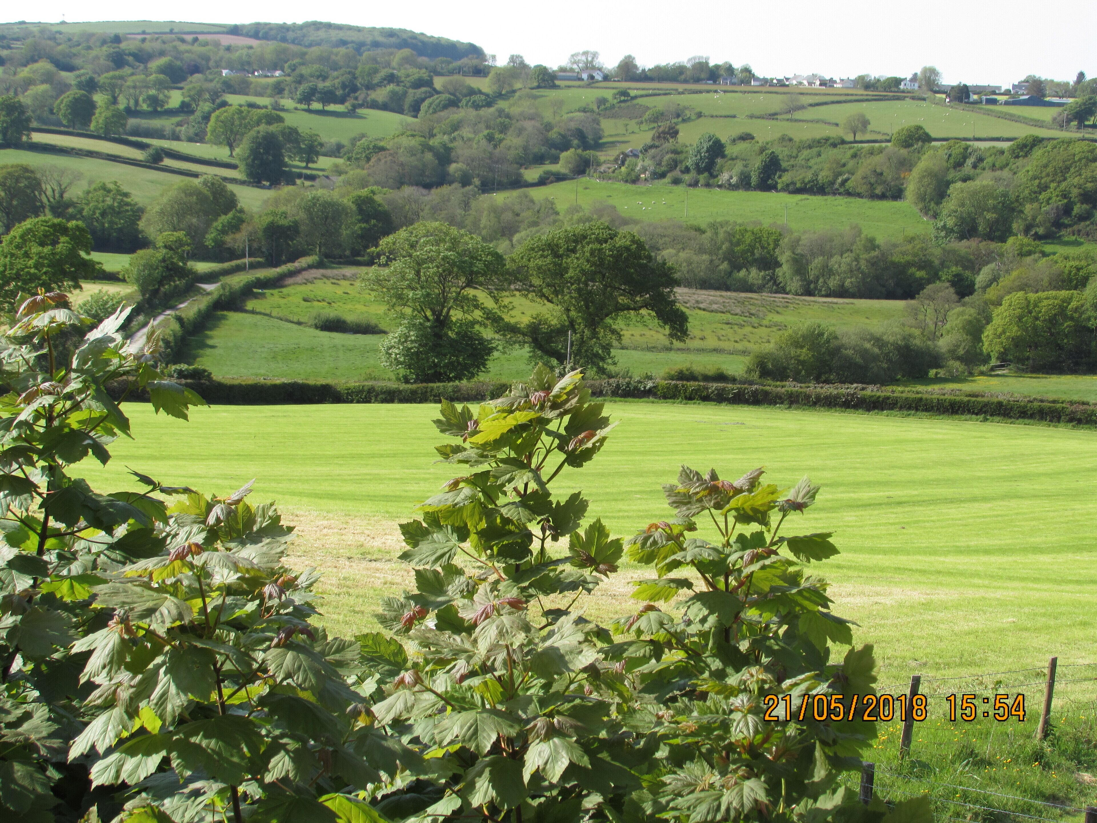 A rural landscape with rolling hills, green fields, and a tree in the foreground.