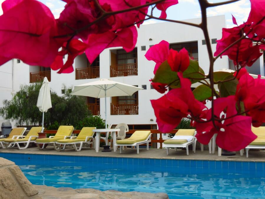 A poolside area with lounge chairs and umbrellas, a clear blue pool, and a building with balconies in the background.